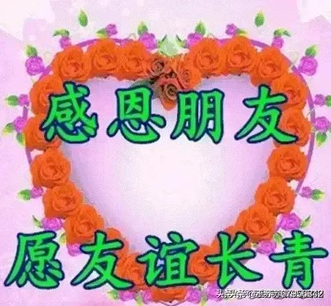 [qq秒赞]秒赞是什么？