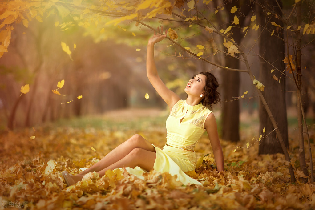 [停更]停更说明什么内容？