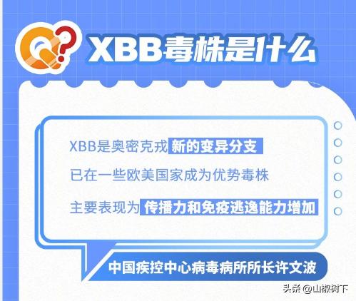 广州检出XBB等毒株XBB毒株到底该怎么预防？