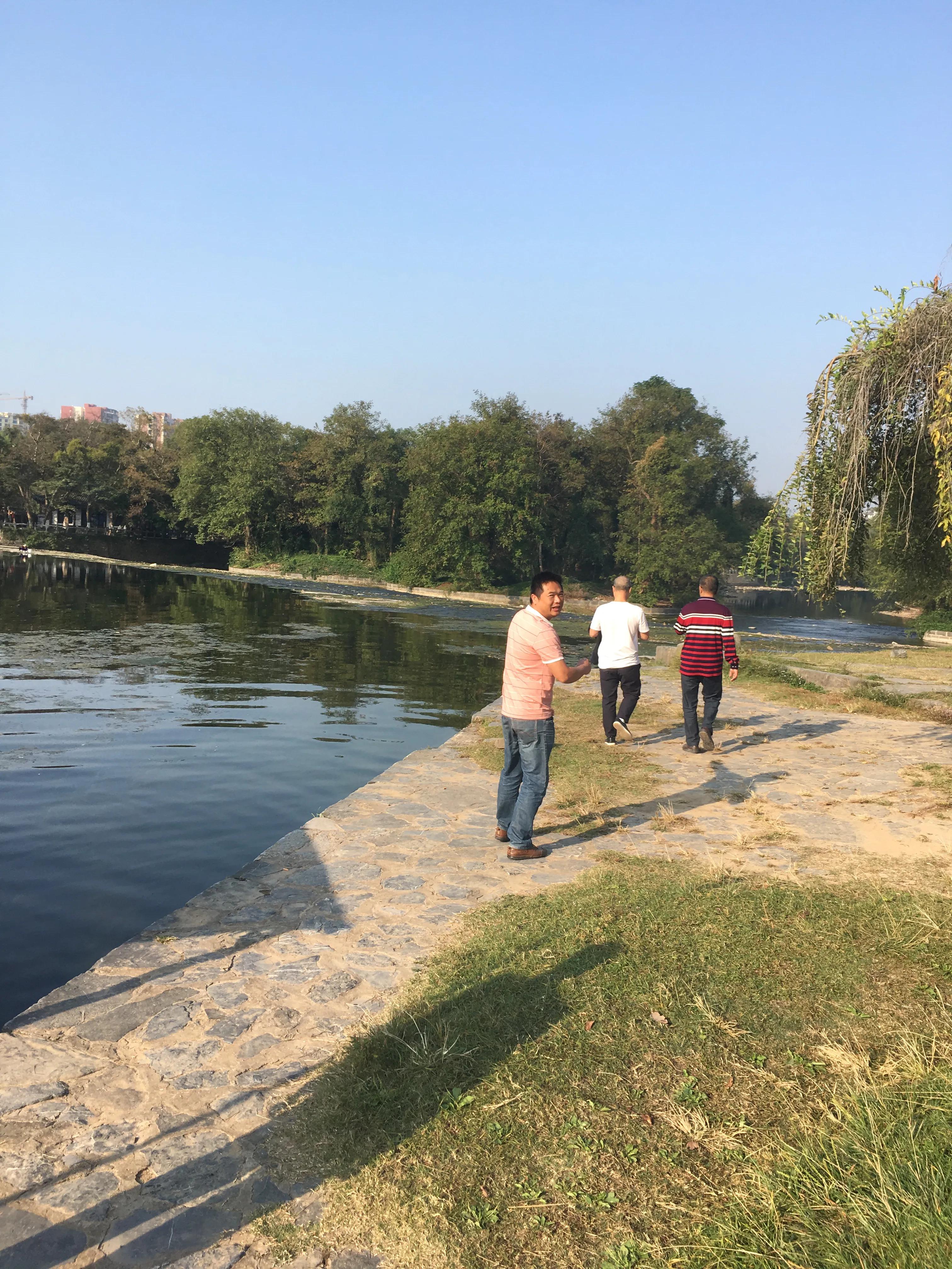 桂林哪里可以欣赏银杏? 桂林哪里可以欣赏银杏?