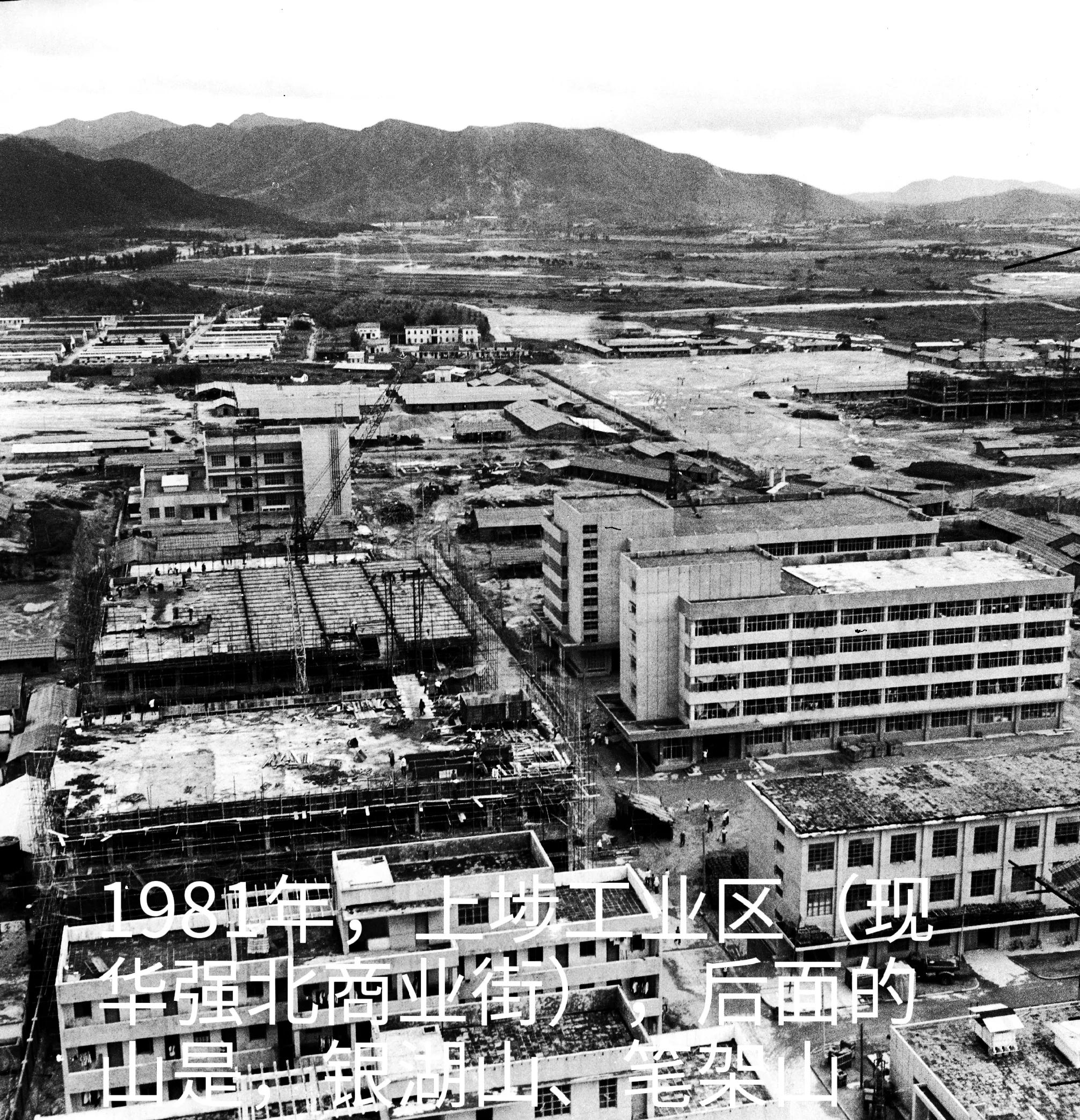 现在深圳市副市长姓什么 现在深圳市副市长姓什么