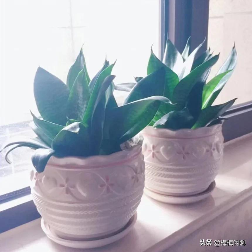 外景婚纱摄影哪里好，外景婚纱摄影哪里好一点