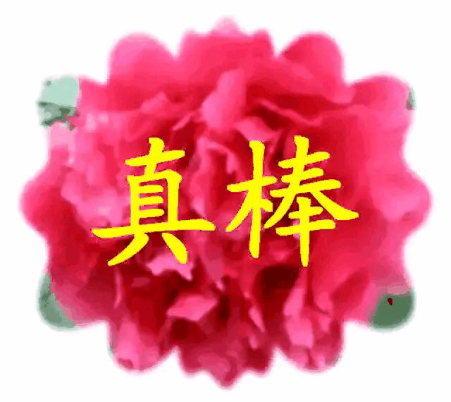 70万一针救命药进医保，你怎么看？：70万救命药进医保