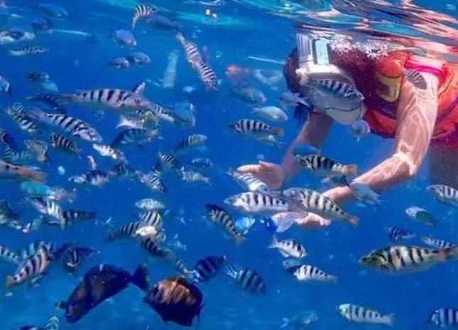 海外生活带你看世界旅行推荐官，海外旅游攻略网