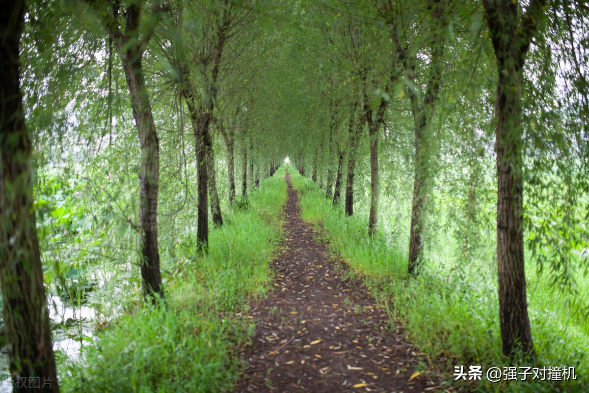 浙江app线上开发推广