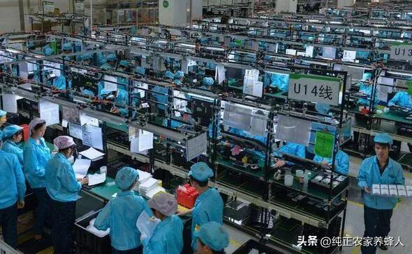 河南省税务局开展税收宣传活动: 培养公民税收意识促进社会发展，