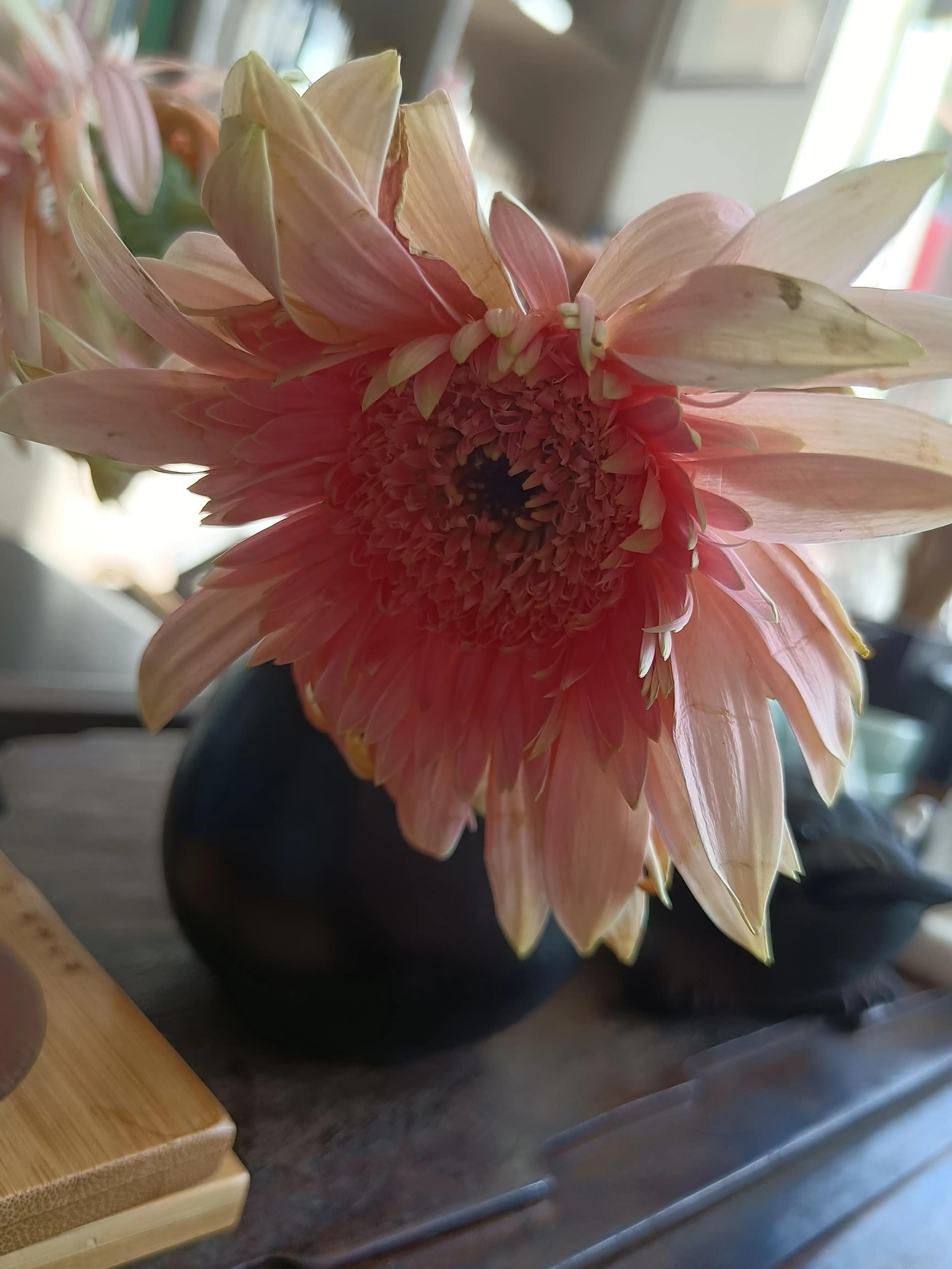 李佳琦美妆节好物推荐
