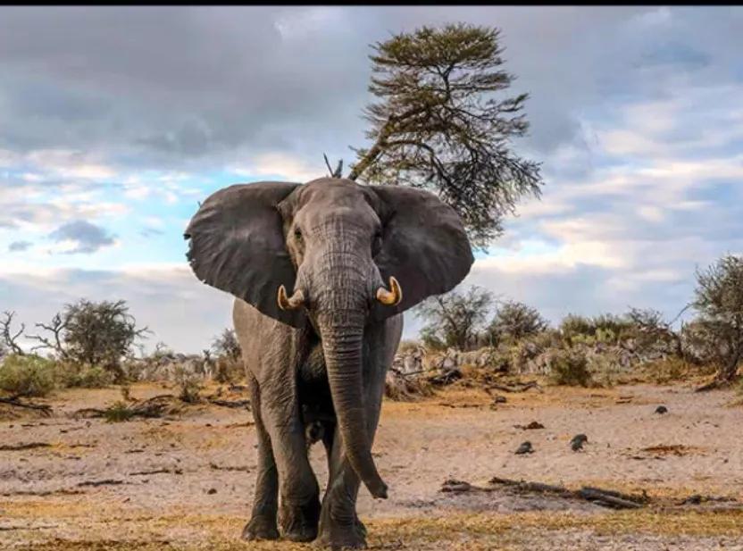 [13pro价格]#为什么很多人愿意花8000元买iphone13 pro？