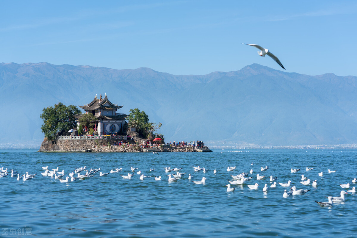 观察海外生活的感受怎么写，观察海外生活的感受怎么写的