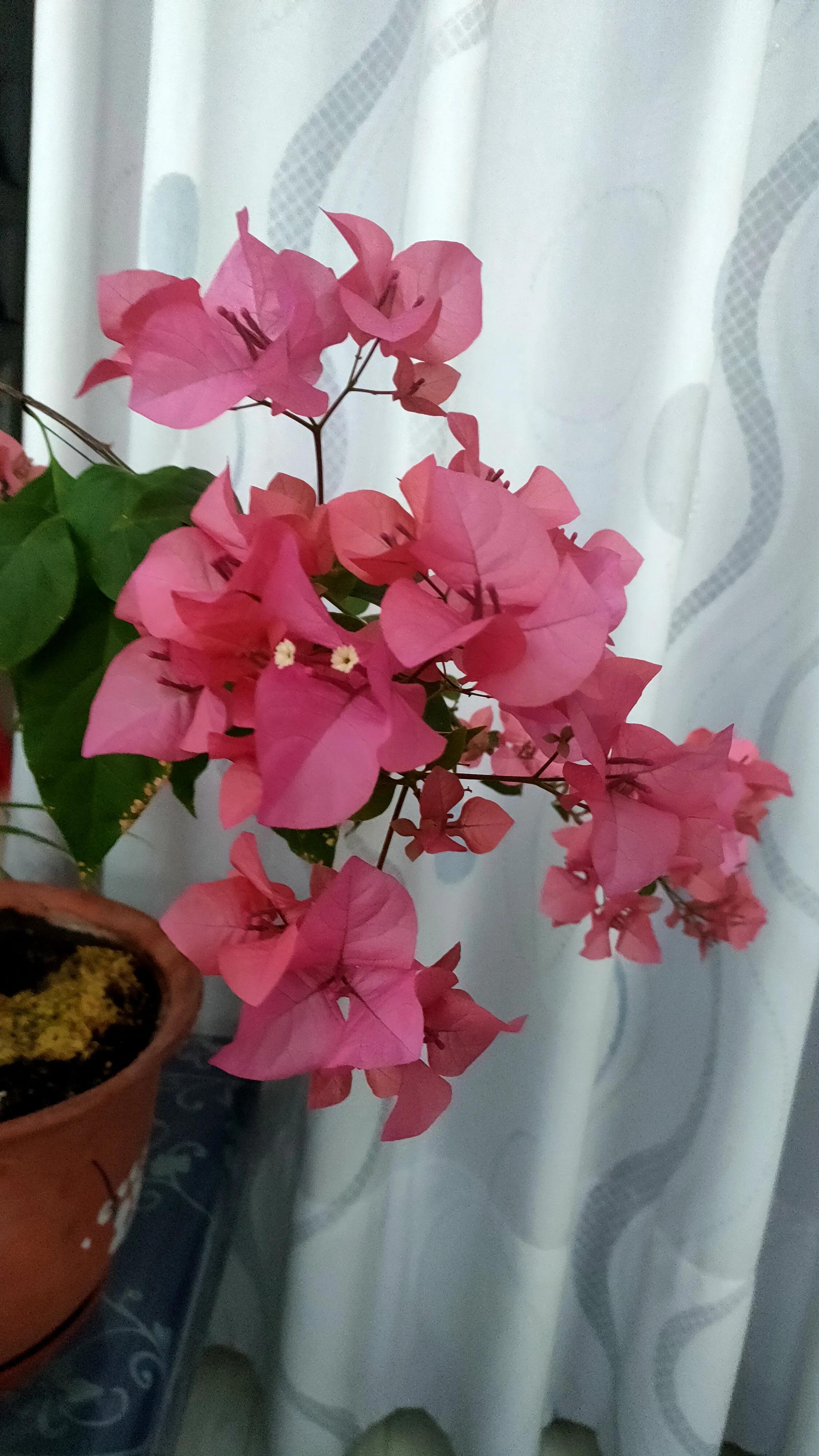 [停更]停更说明什么内容？