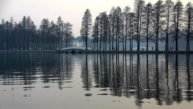 世界湿地生态环境保护和发展大会,为什么是在武汉召开? 世界湿地生态环境保护和发展大会,为什么是在武汉召开?