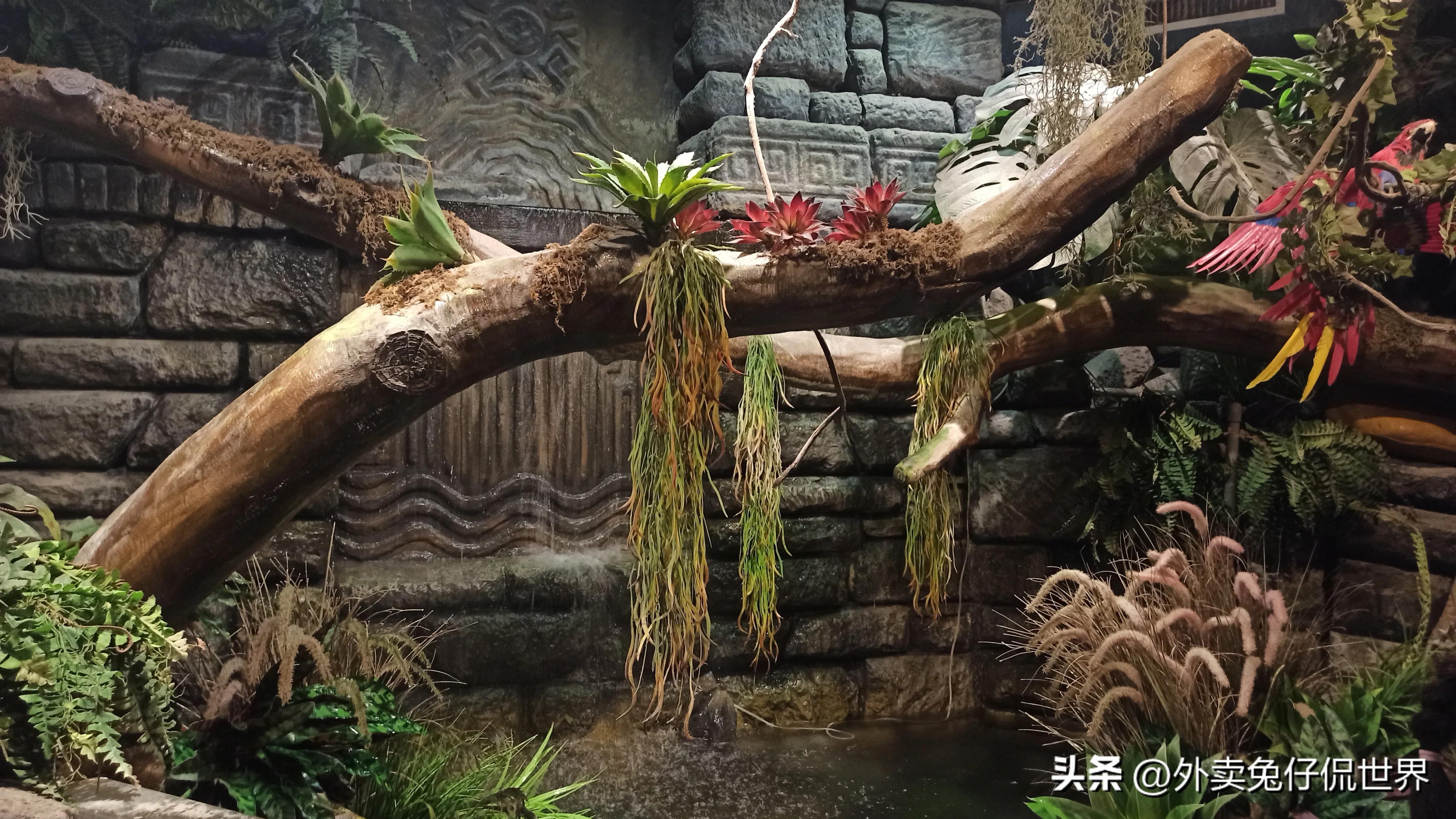 美团内卷什么意思？：美团抵制内卷式竞争
