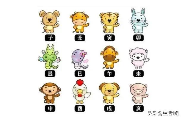 十二生肖全集，魔变十二生肖全集
