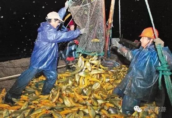 黄花鱼有几种 2026年黄花鱼有几种做法