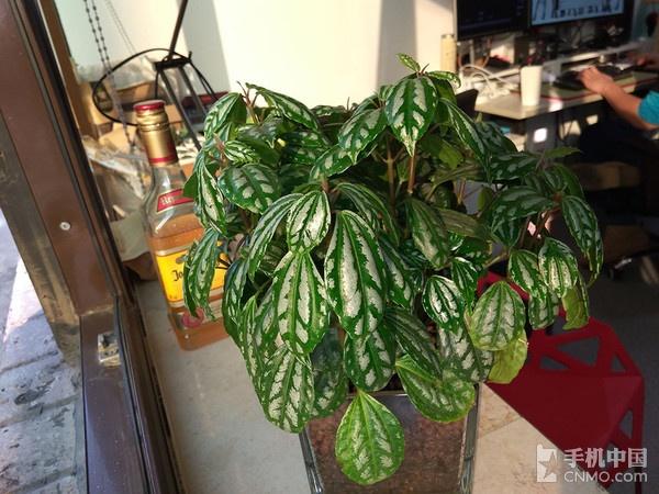 360N4S骁龙版评测 经典外观下的芯升级