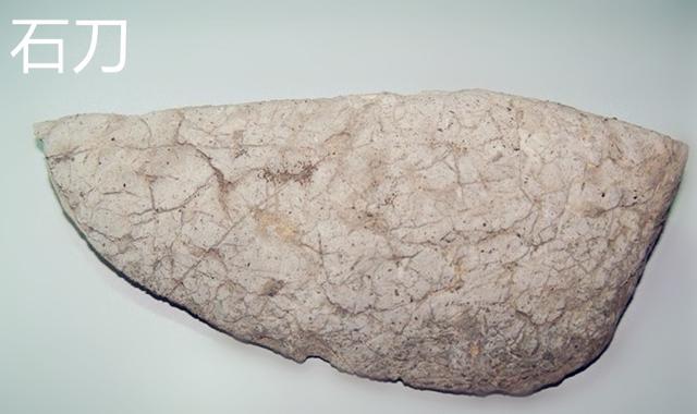 原始人打猎，都用了哪些让野兽们闻风丧胆的兵器？