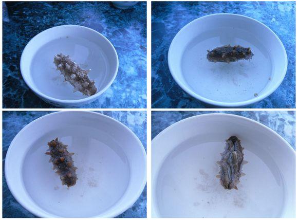 煮海参放什么调料 2026年煮海参加什么配料