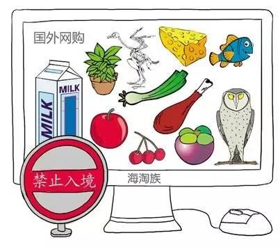 花胶能海淘吗 花胶可以过中国海关吗