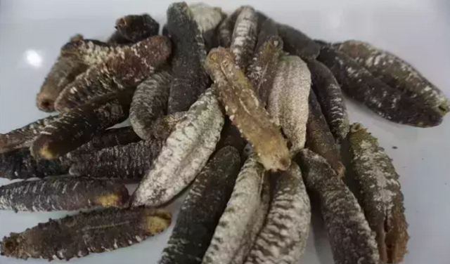 花胶可以寄出美国吗 2026年花胶可以寄出美国吗多少钱