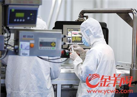 态立方海洋鱼皮胶原低聚肽多少钱 2026年海洋鱼皮胶原低聚肽粉固体饮料