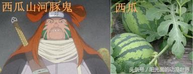《火影忍者》“忍刀七人众”就是水果篮！鬼灯竟是代表姑娘果！