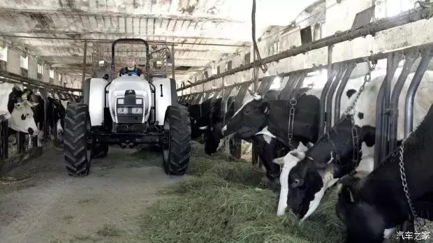 靠拖拉机起家,这些兰博基尼见过一辆算你牛!