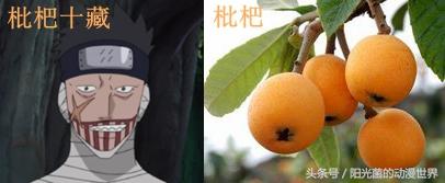 火影忍者水果（火影忍者忍刀七人众就是水果篮鬼灯竟是代表姑娘果）