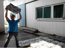 浙江鱼蛋白生产厂家 2026年浙江鱼蛋白生产厂家有哪些