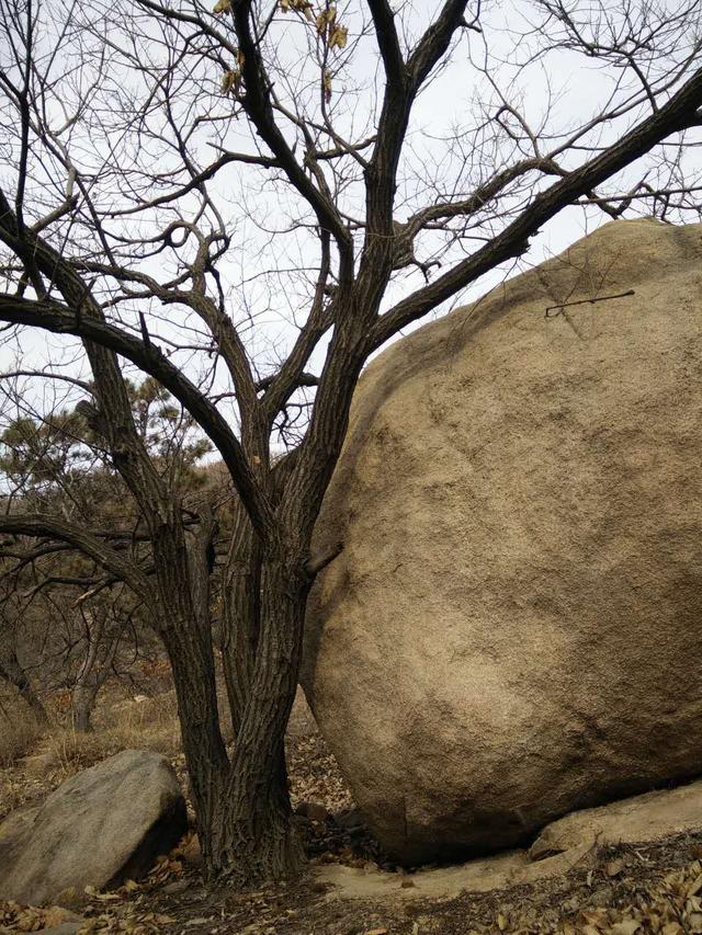 养生爬山：过大年爬大山敬天地，天地牌位你会写吗？