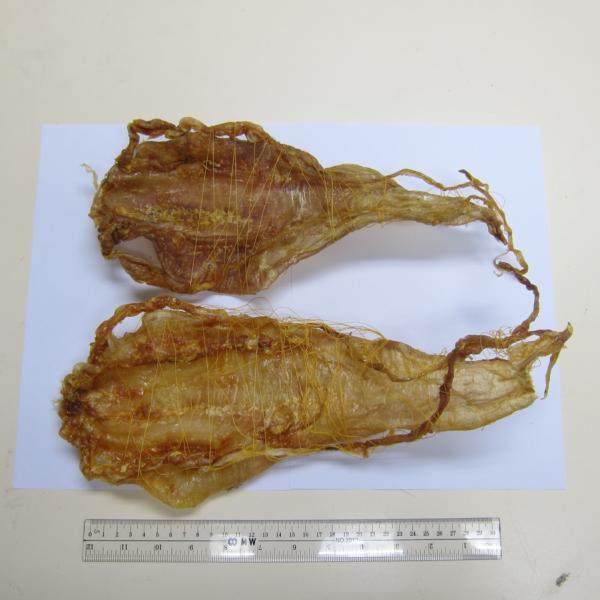 香港海关规定 花胶 2026年香港能带花胶回大陆吗