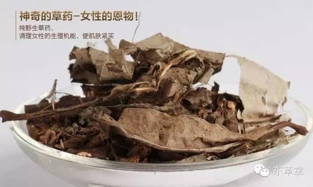 女,未婚,希望了解卡琪花蒂玛注意事项（马来西亚国宝卡琪花蒂玛）