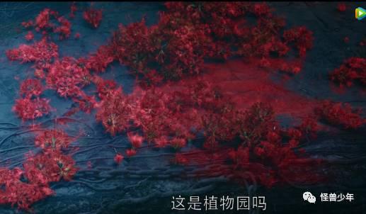 《鬼吹灯》大结局，疯教授比大BOSS还抢戏！靳东陈乔恩已分离，可胡八一雪莉杨的故事还没完……