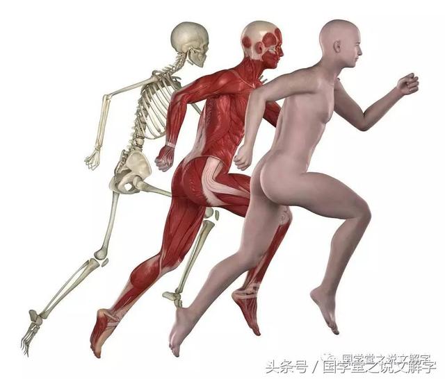为什么狼看到月圆会叫？究竟月亮和人的身体内脏有什么关系？
