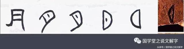 为什么狼看到月圆会叫？究竟月亮和人的身体内脏有什么关系？