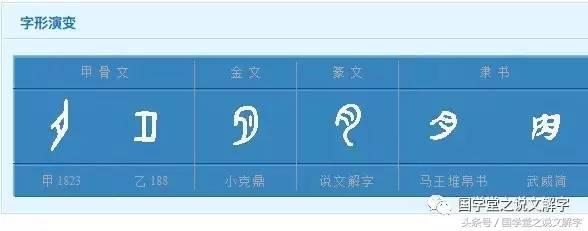 为什么狼看到月圆会叫？究竟月亮和人的身体内脏有什么关系？