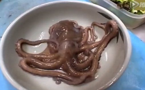 今日游戏推荐：惊心动魄的“触手”体验《Tentacles》