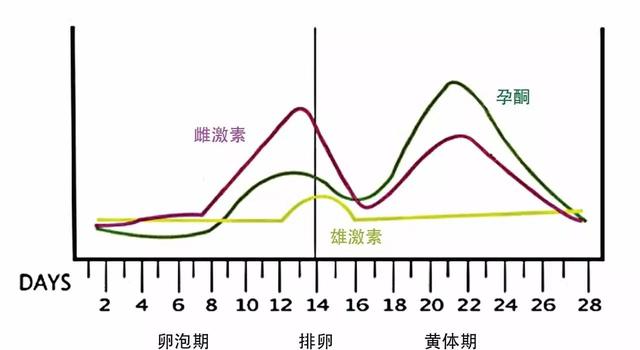 “封闭抗体”不靠谱，反复流产到底是不是免疫系统的错？