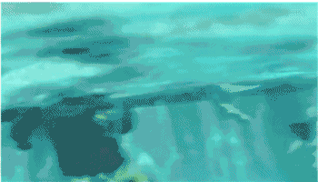 看了这个解读我感觉自己白刷了《爱乐之城》