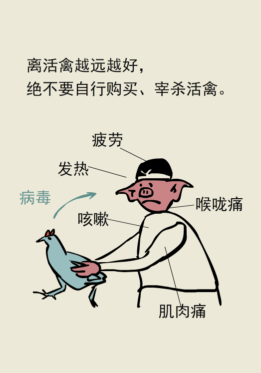 禽流感H7N9的几个早期症状你了解吗？