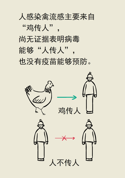 禽流感H7N9的几个早期症状你了解吗？