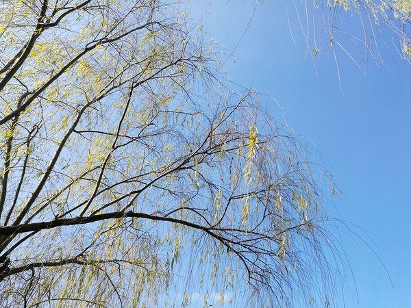 江南六日｜第一站：周庄