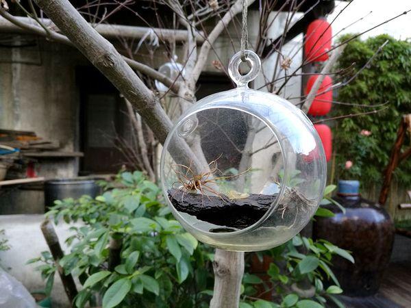 江南六日｜第一站：周庄