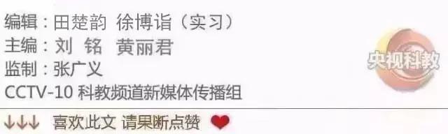 21点档｜如何从丛林中机智地逃脱？