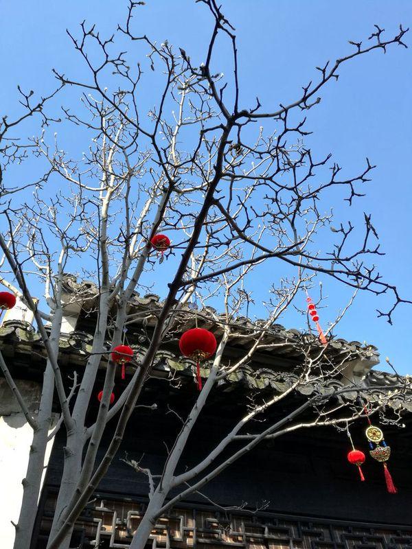 江南六日｜第一站：周庄