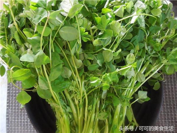 春天多吃“草”，清肠瘦身，炒得好吃是关键