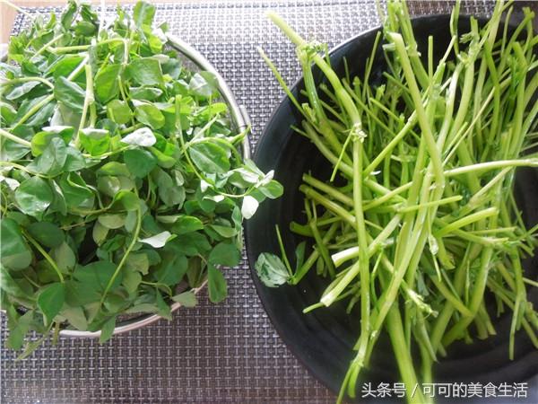 春天多吃“草”，清肠瘦身，炒得好吃是关键