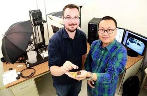 洛克王国翼龙蛋（恐龙博士邢立达告诉你）