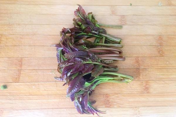 春分花胶 2026年春记花胶鸡