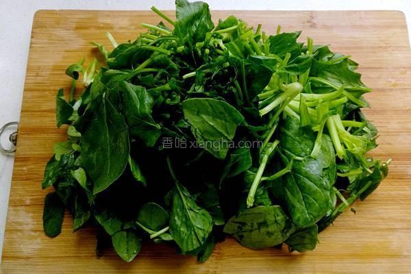 春分花胶 2026年春记花胶鸡