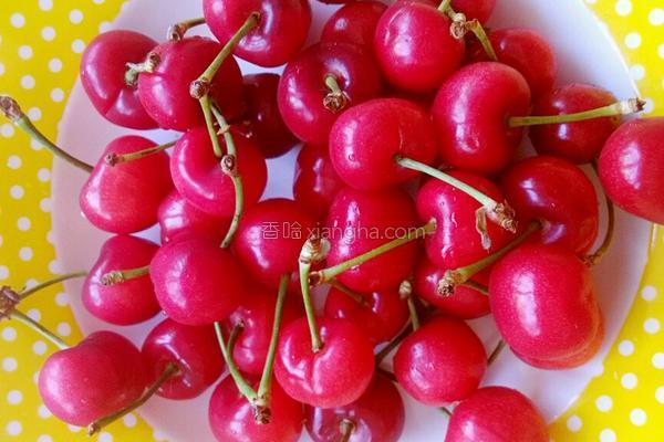 春分花胶 2026年春记花胶鸡